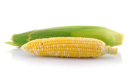corn on a white background
