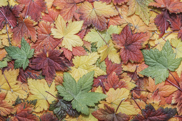 Fall leaves background