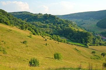 Fototapeta na wymiar Letni krajobraz w Transylwanii