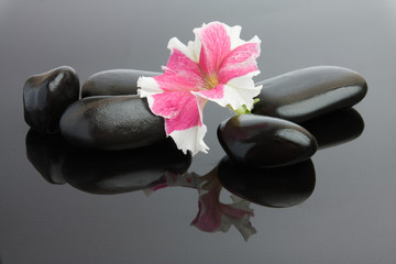 Spa with black stones