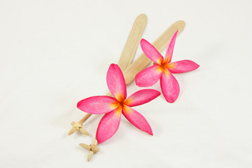 Obraz na płótnie Canvas Closeup frangipani flower