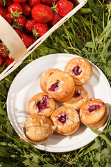 summer muffins