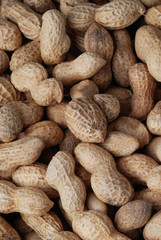 Obraz premium peanuts in shell