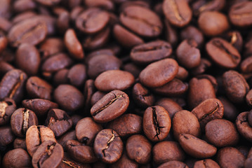 coffee beans
