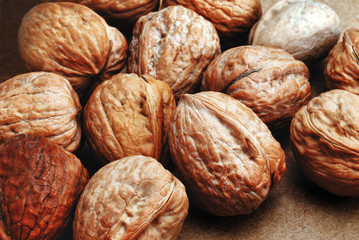 walnuts in shell