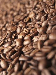 Granos de café en primer plano. Vista superior y de cerca. Macro. Enfoque selectivo. Formato vertical