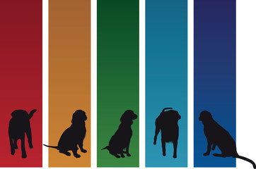 colourful dog banners