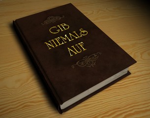 3D Buch - GIB NIEMALS AUF