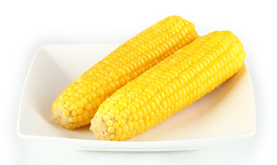 boiled corn isolated on gray on the white plate