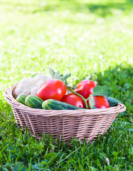 vegetables in basket