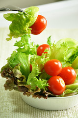 Fresh salad