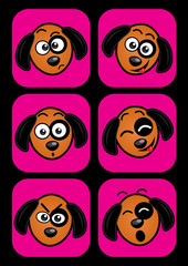 Dog facial expressions