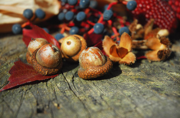 Herbstmotiv