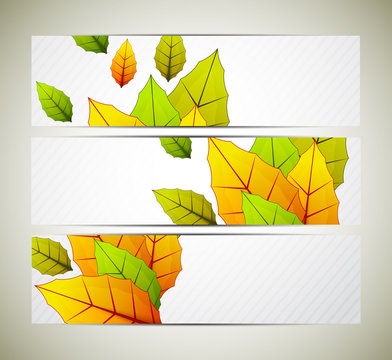 Set of banners with leaves