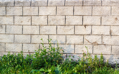 Grungy concrete wall with grass and flowers at the bottom