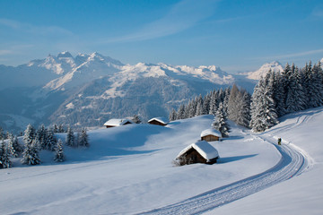 Fototapeta na wymiar Zimowe wędrówki w Alpach