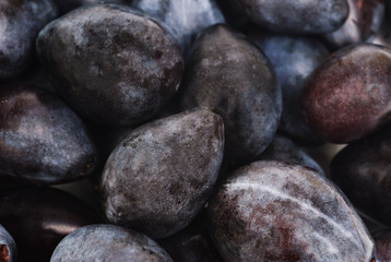 fresh blue plums as food background