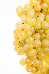 Grapes isolated on white background