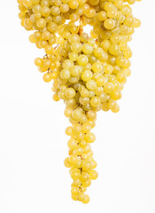 Grapes isolated on white background