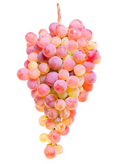 Bunch of ripe pink grapes. isolate