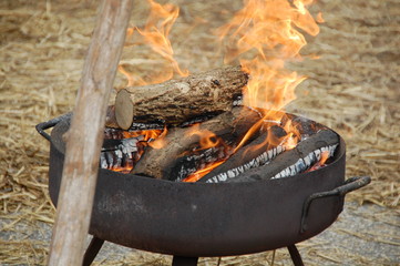 Feuerschale mit brennendem Holz  - Powered by Adobe