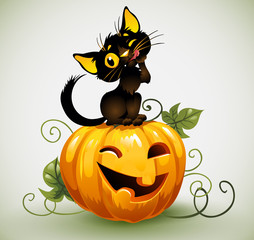 Cute black cat pumpkin.