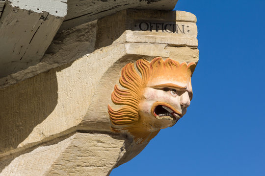 Neidkopf Gorgonenkopf Seitenansicht