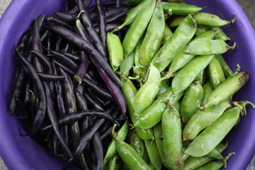 beens and beas