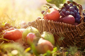 Rolgordijnen Organic fruit in summer grass © mythja