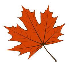 Red Maple Leaf