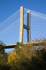 Fototapeta premium Talmadge Memorial Bridge