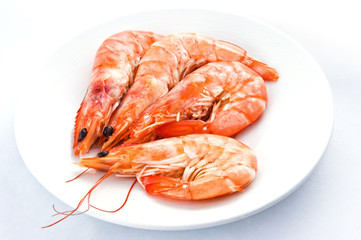 shrimps on a white plate