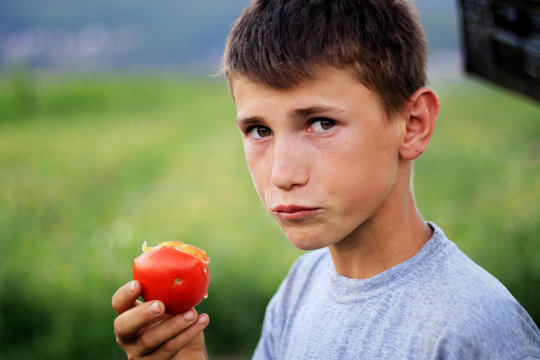 Frische Tomatenfrucht am geniessen