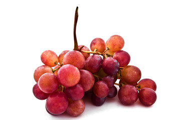 branch of ripe grapes