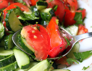 vegetarian salad with tomatoes and cucumbers