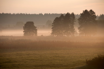 poranek na wsi © agnieszkalll