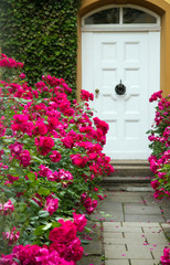 Fototapeta na wymiar entrance with roses