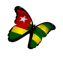Togo flag butterfly flying, isolated on white background