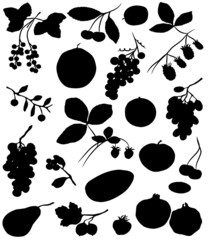 Collection of silhouettes of berries and fruit