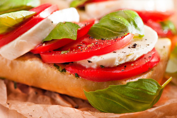 Sandwich with mozzarella, tomato and basil