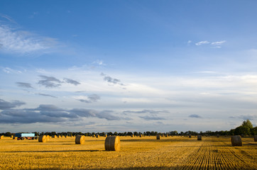 Blue trailer at a field of straw bales