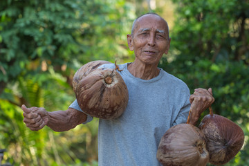 Kokosnussarbeiter
