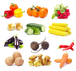 collection vegetables