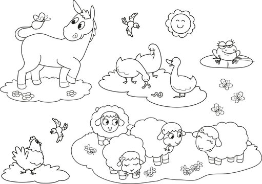 Coloring farm animals for children