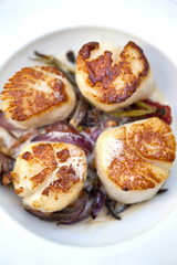 Coquilles Saint-Jacques, cuisine, aliment, gastronomie