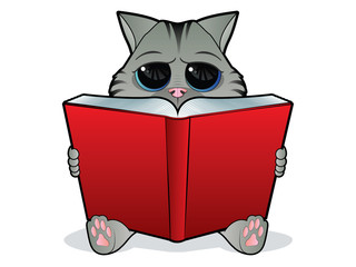 Kitten reading a large open book