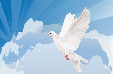 white dove in blue sky with clouds