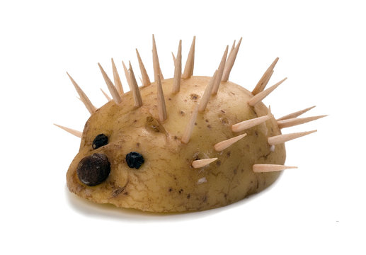 Creative fun - Potato hedgehog