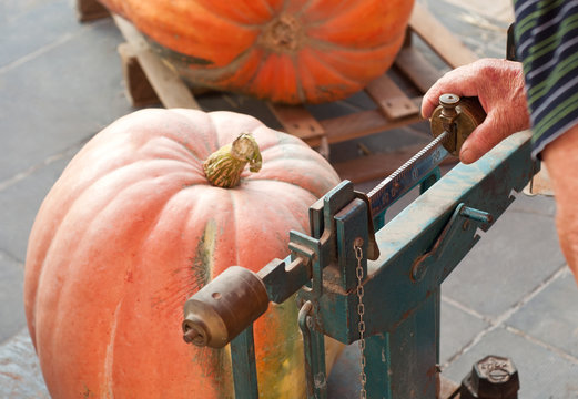 zucca pesata su vecchia bilancia