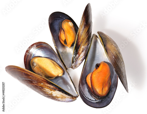 Choros Stock Photo And Royalty Free Images On Fotoliacom - 